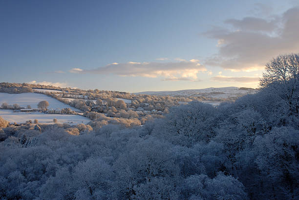 Early light after a heavy snowfall in West Devon. The stark winter lines of trees are softened by a burden of clean, powdery snow. This view is looking up towards Sharpitor and Peek Hill.