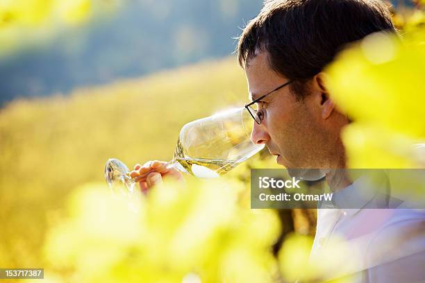Vintner Tasting Wine Stock Photo - Download Image Now - Smelling, Vine - Plant, Adult