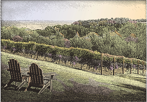 Winery Vineyard with chairs.