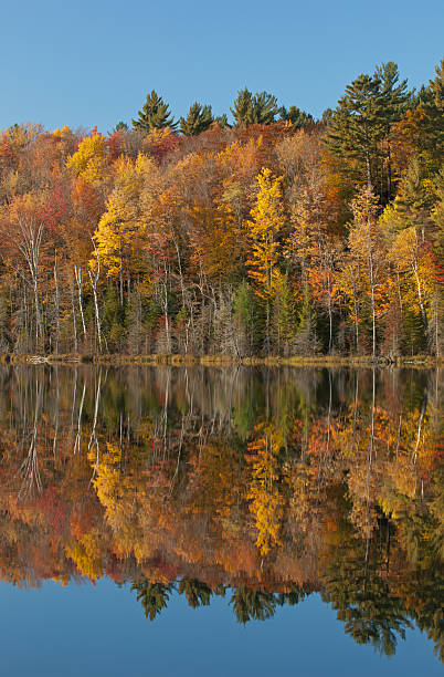 istock Autumn Scout Lake 153719195