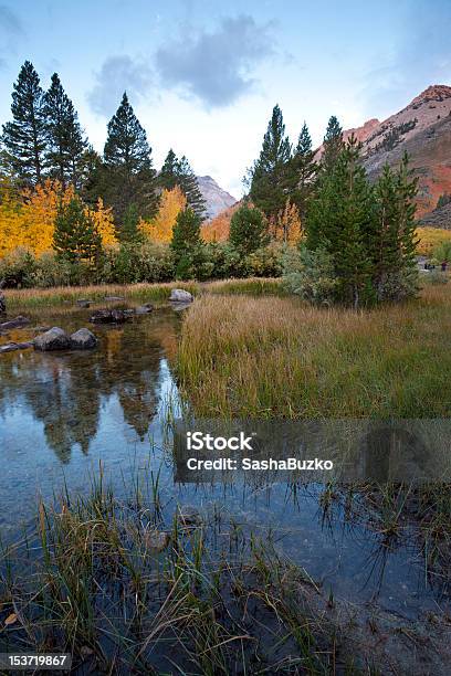 Autunno Vista Di Una Foresta Creek In California Mountains - Fotografie stock e altre immagini di Ambientazione esterna