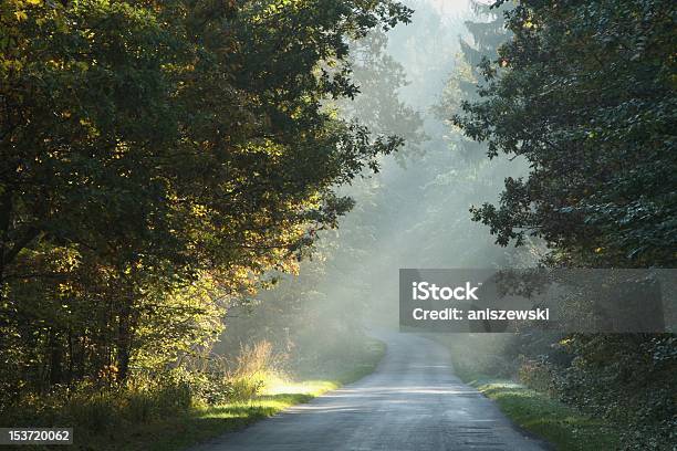 Ländliche Straße Bei Sonnenaufgang Stockfoto und mehr Bilder von Abenddämmerung - Abenddämmerung, Ast - Pflanzenbestandteil, Baum