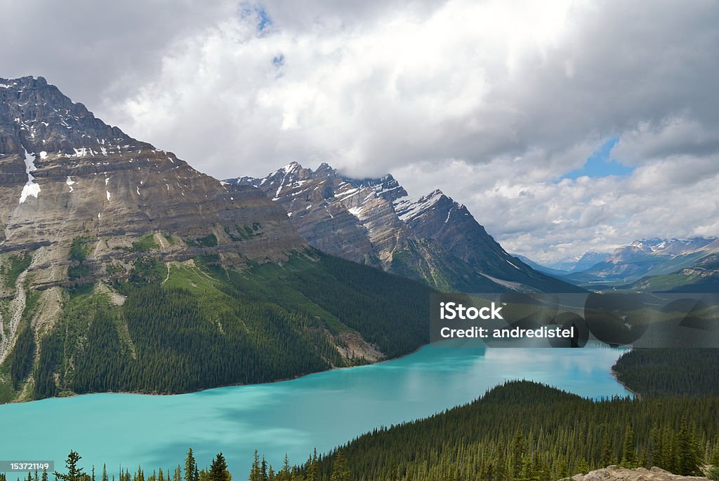 Candian Скалистые горы — Озеро Пейто - Стоковые фото Природа роялти-фри