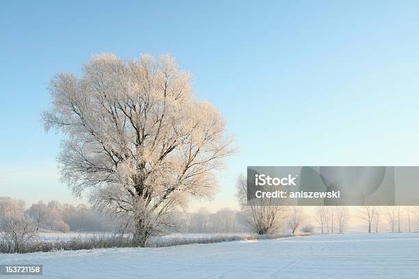 Winterlandschaft In Der Abenddämmerung Stockfoto und mehr Bilder von Abenteuer - Abenteuer, Antarktis, Arktis