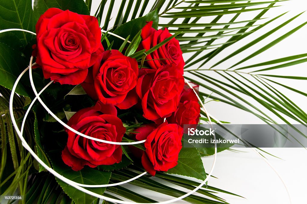 Romantic bouquet of seven red roses Romantic bouquet of seven red roses pleasantly decorated Beauty In Nature Stock Photo