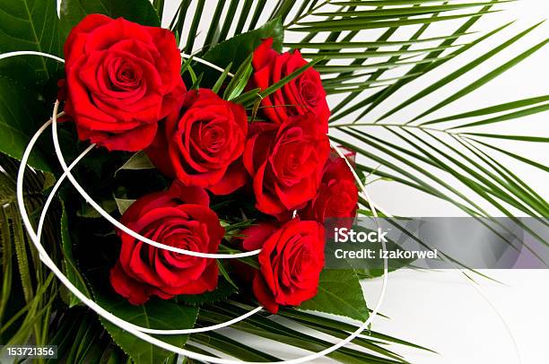 Romantic Bouquet Of Seven Red Roses Stock Photo - Download Image Now - Beauty In Nature, Botany, Bouquet