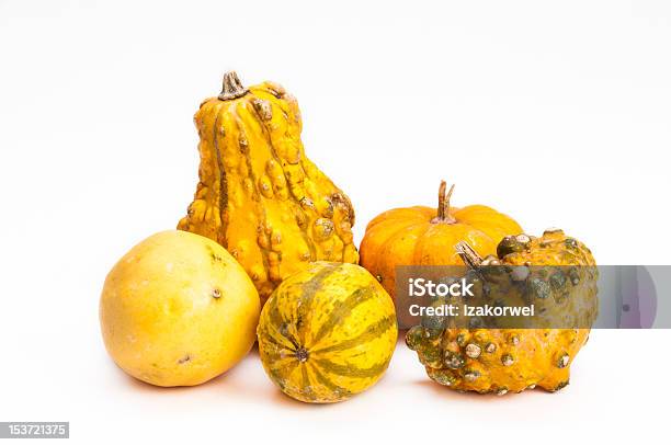 Five Orange Decorative Pumpkins On Isolating Background Stock Photo - Download Image Now
