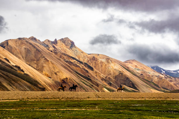 Horses in the Landmannalagur scenery