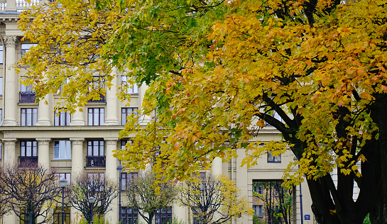 Autumn scenery with an old building in Saint Petersburg, Russia.