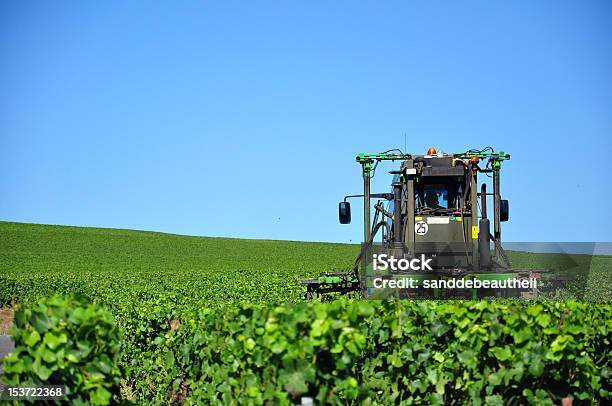 Trimming Vines Stock Photo - Download Image Now - Machinery, Vineyard, Champagne