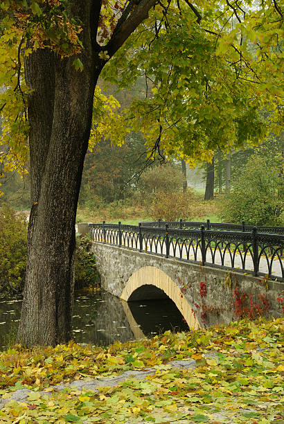 istock Morning in autumn park 153723214