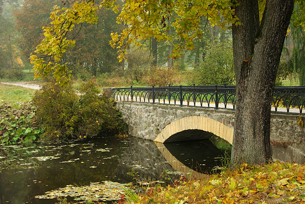istock Morning in autumn park 153723217