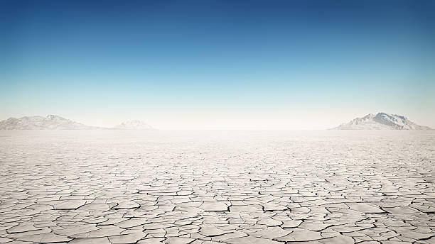 deserto - terra brulla foto e immagini stock