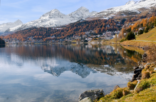 Indian Summer with Snow Mountain and yellow Larchs by the lake of  St.Moritz