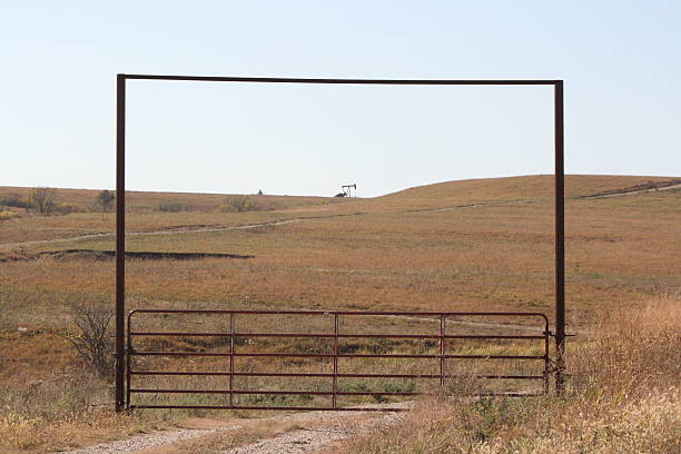 istock oil and grass land 153724218