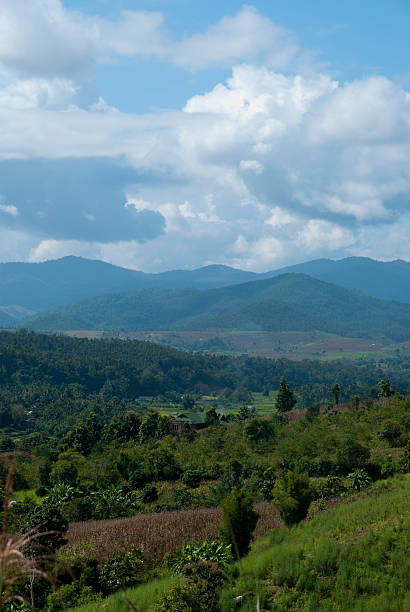 рисовая терраса-chang khoeng, mae chaem, chiang mai, thailand - millet terrace стоковые фото и изображения