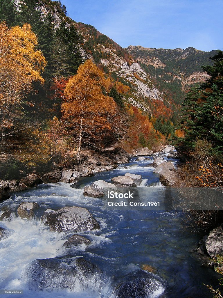 Caída - Foto de stock de Rápido - Río libre de derechos