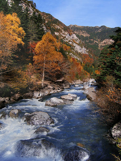 L'autunno - foto stock