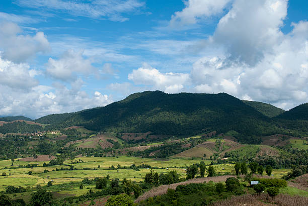 rizières-chang khoeng, mae chaem, chiang mai, thaïlande - millet terrace photos et images de collection