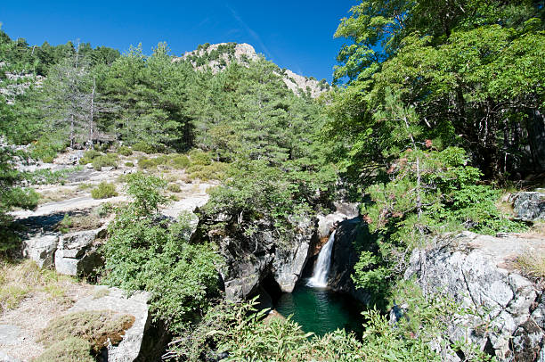 Corsica - foto stock