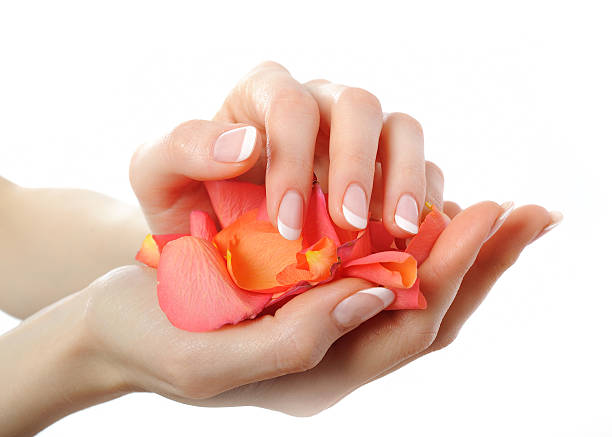 Beautiful hand with perfect french manicure and petals stock photo