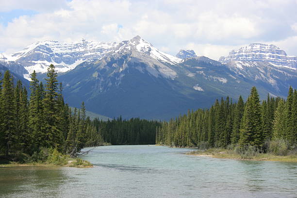 Bow River stock photo