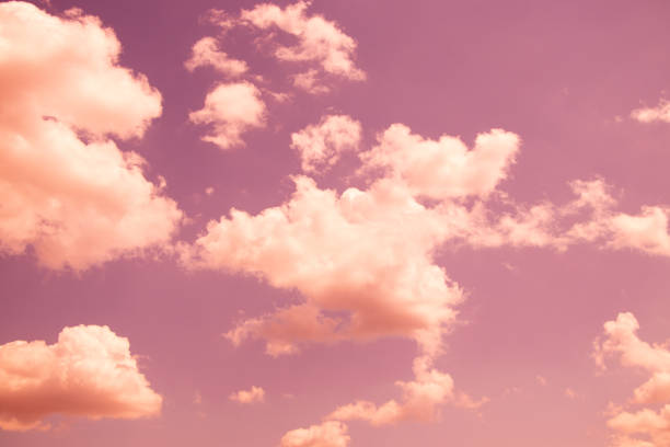 istock Pink sky as a background in the summer in the sun 1537269358