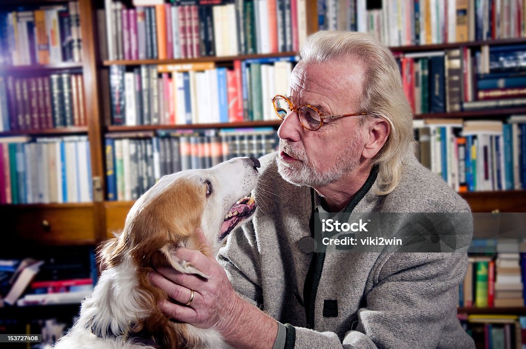 Velhos amigos - Royalty-free Cão Foto de stock