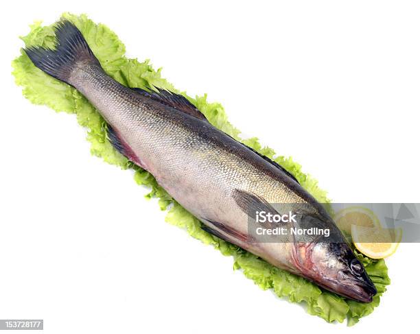 Foto de Peixe Fresco E Limão Com Salada e mais fotos de stock de Barbatana - Parte do corpo animal - Barbatana - Parte do corpo animal, Barbatana caudal, Cabeça de animal