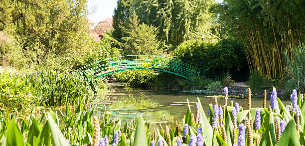 Monet's Bridge and Garden Monet's Bridge and Garden Giverny near Villeneuve Sur Lot, France giverny stock pictures, royalty-free photos & images