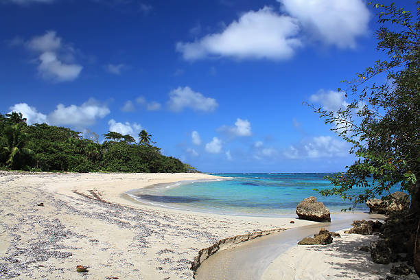 istock Beautiful tropical beach, Cuba 153728253