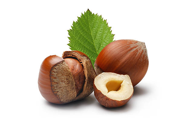 istock Close-up of some brown hazelnuts with shells and green leaf 153728894