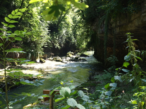 River in the deep forest place called les pertes de