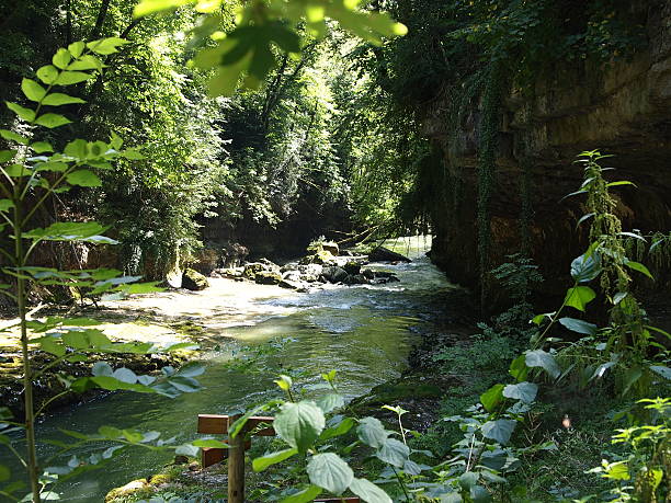 River in the deep forest place called les pertes de stock photo