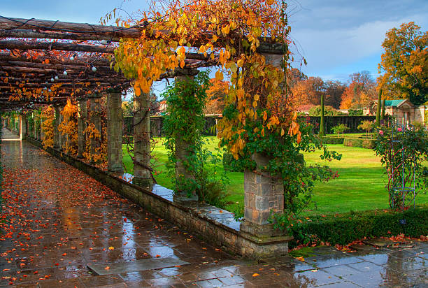 Alley in Hever Castle park Alley in Hever Castle park after the rain. Hever Castle stock pictures, royalty-free photos & images