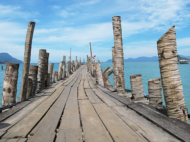 caminho para o mar - tropical rainforest elevated walkway pulau langkawi malaysia - fotografias e filmes do acervo