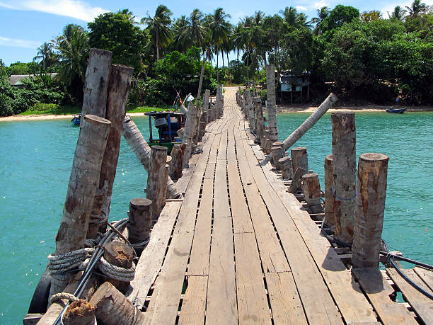 sentier en bois - tropical rainforest elevated walkway pulau langkawi malaysia photos et images de collection