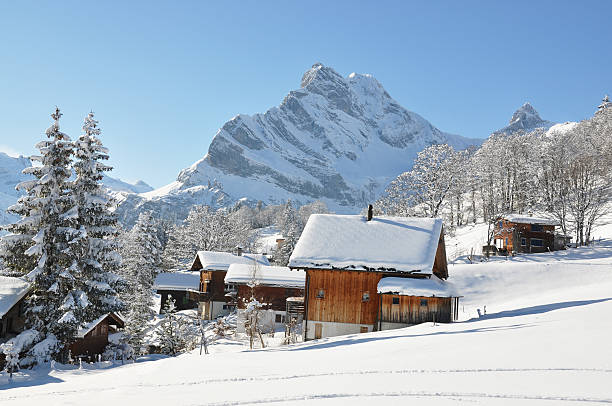 istock Swiss holiday cottages 153729640
