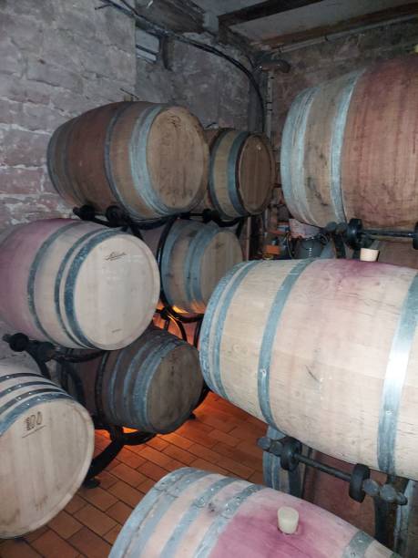 vin en cave en barriques. - winery wine cellar barrel photos et images de collection