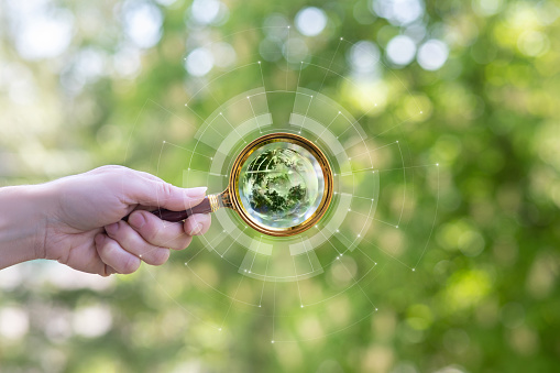 Hand through a magnifying glass shows the Globe on a blurred green background.