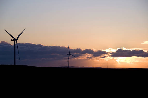 Wind farm and evening sunset stock photo