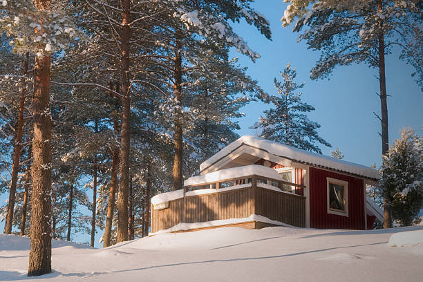 istock Red cabin in the winter 153731773