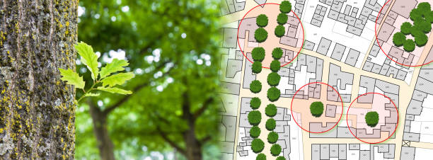 istock Census of singol, group or row trees in cities - green management and tree mapping concept with imaginary city map with highlighted trees 1537330005