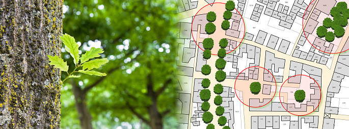 Census of singol, group or row trees in cities - green management and tree mapping concept with imaginary city map with highlighted trees