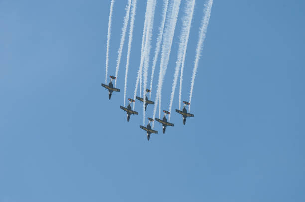 スウェーデンのチーム60航空展示グループは、曲技飛行の操縦をパーソフします。 - military pilot fighter plane air force ストックフォトと画像