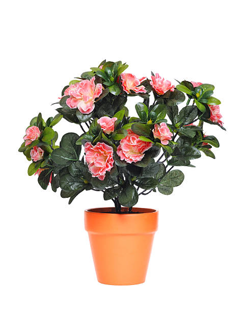 istock Flowerpot with artificial flowers 153733738