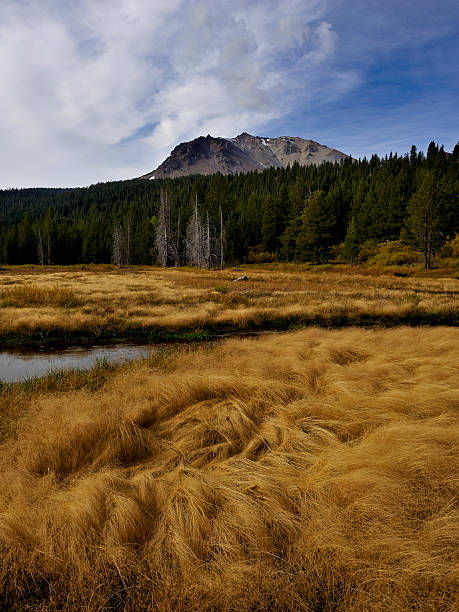 Lassen Peak and autumn grasses