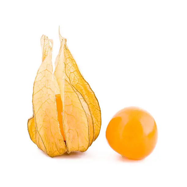 Fresh two physalis fruits isolated on white background, jam-berry