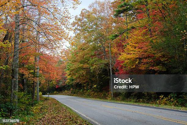 Photo libre de droit de Fall Road banque d'images et plus d'images libres de droit de Arbre - Arbre, Automne, Beauté de la nature