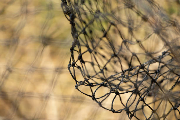 istock Fishing net close up as background on fishing 1537367974